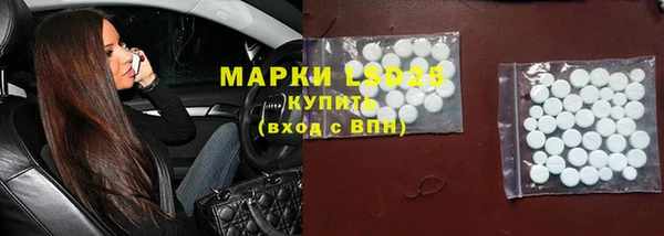 индика Балабаново