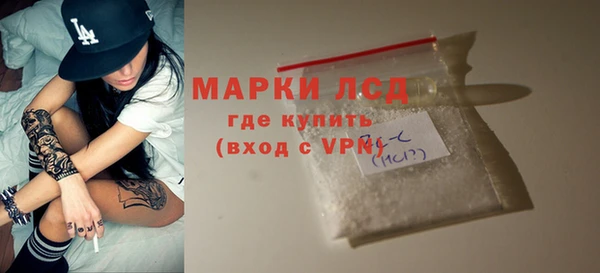индика Балабаново