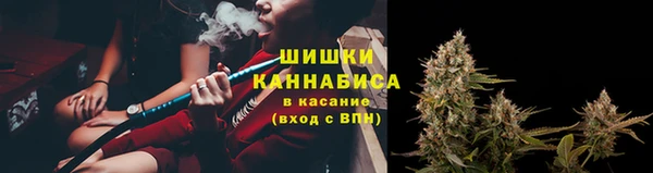 PSILOCYBIN Балахна