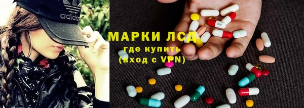 индика Балабаново