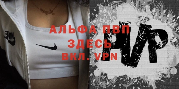 индика Балабаново