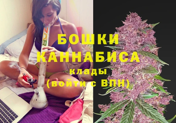 PSILOCYBIN Балахна
