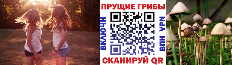 даркнет официальный сайт  Заинск  Галлюциногенные грибы Psilocybine cubensis  купить наркотик 