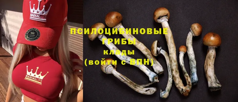 Псилоцибиновые грибы MAGIC MUSHROOMS  Заинск 