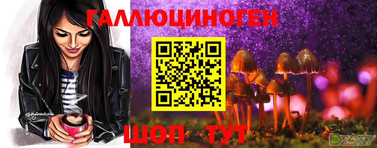 Псилоцибиновые грибы ЛСД  Галлюциногенные грибы GOLDEN TEACHER  Заинск 