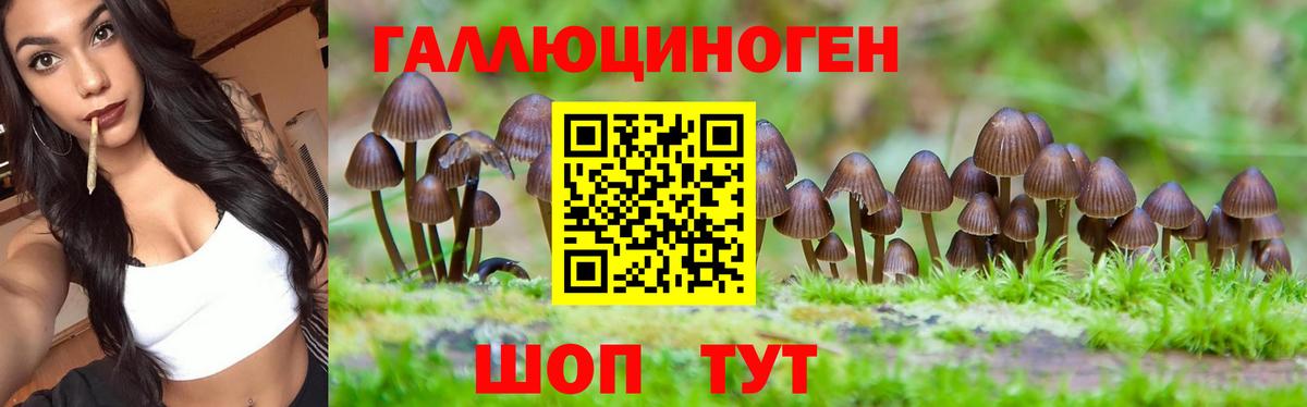 ГАШИШ  А ПВП СК   Каннабис  Кокаин  МЕТ  Мефедрон   Заинск  Марихуана  Гашиш  Меф МЯУ МЯУ  