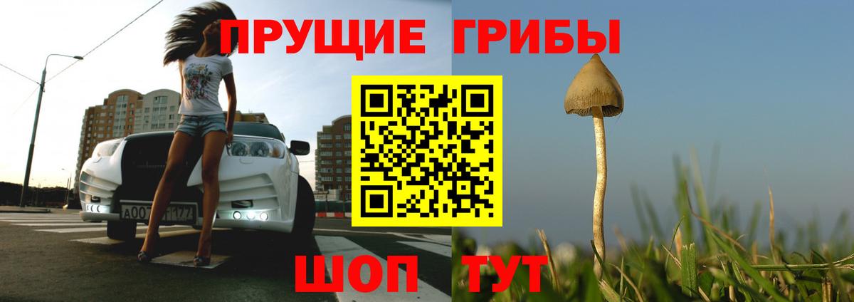 Псилоцибиновые грибы Psilocybe Заинск